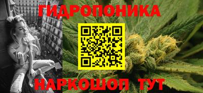 крисы Гагарин