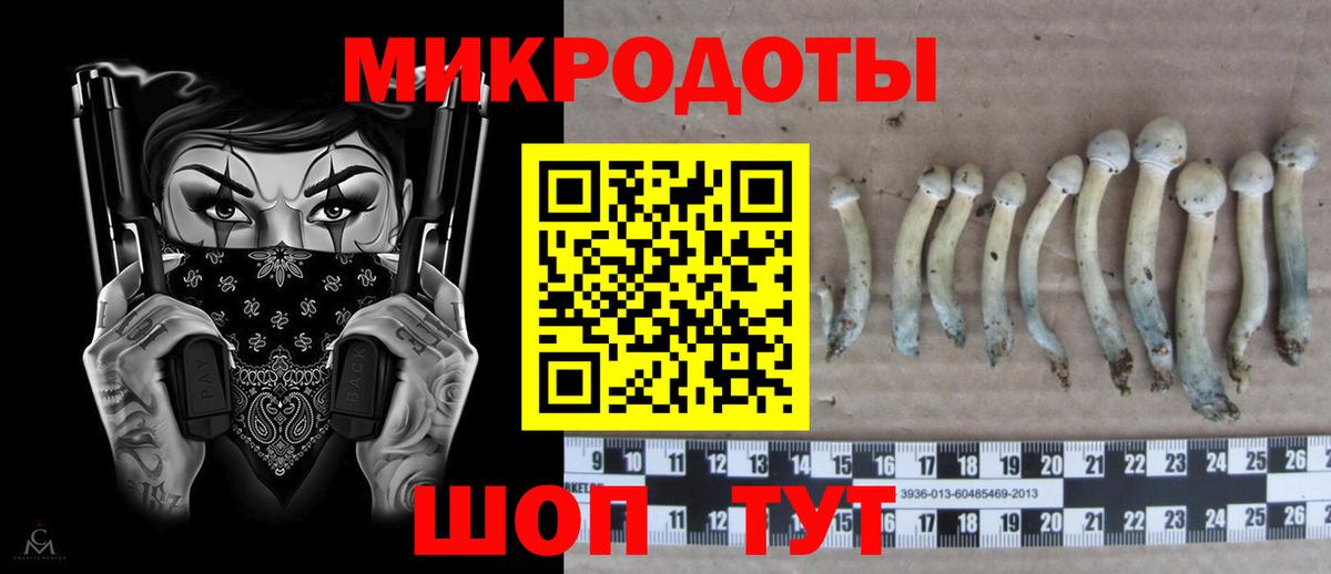 Галлюциногенные грибы прущие грибы  Грязи  Галлюциногенные грибы мицелий 